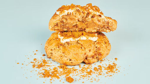 Picture of Lotus Speculatius Cookie