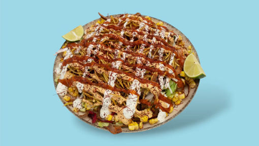 Picture of Spezi-Döner Plate medium